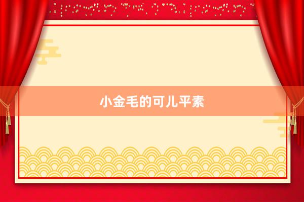 小金毛的可儿平素